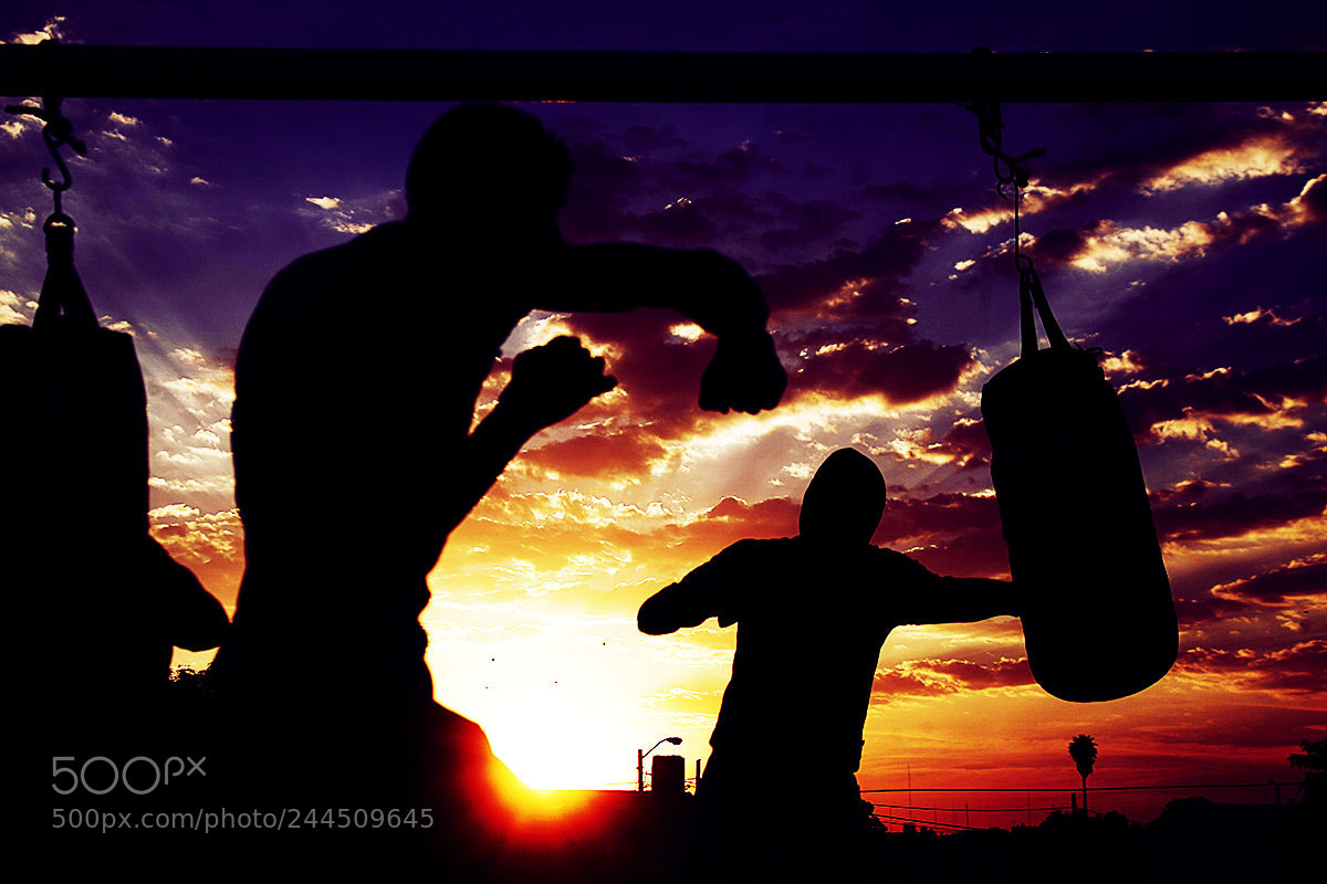 Canon EOS-1D Mark II N sample photo. Under blue photography