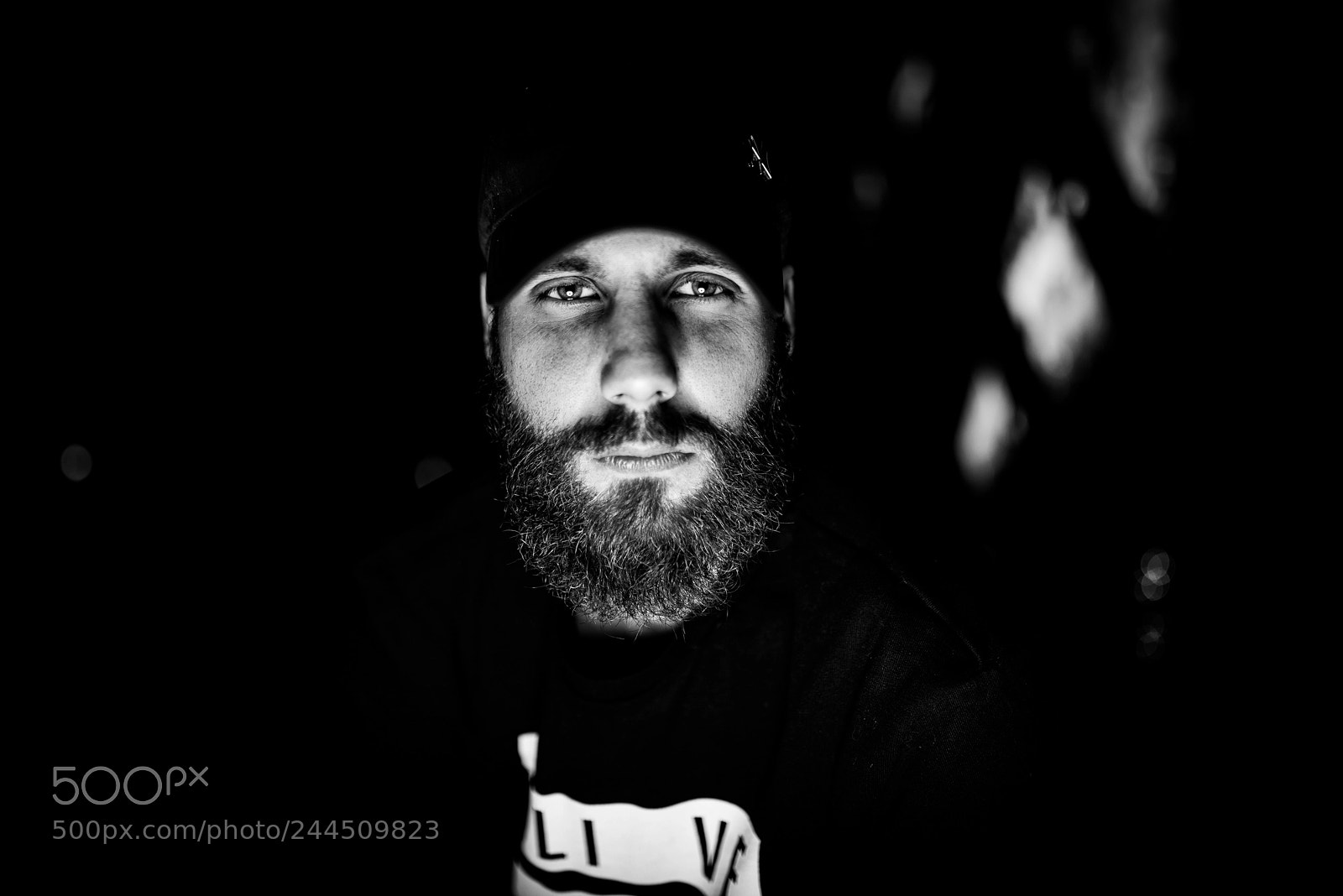 Nikon D800 sample photo. Clement hill photography