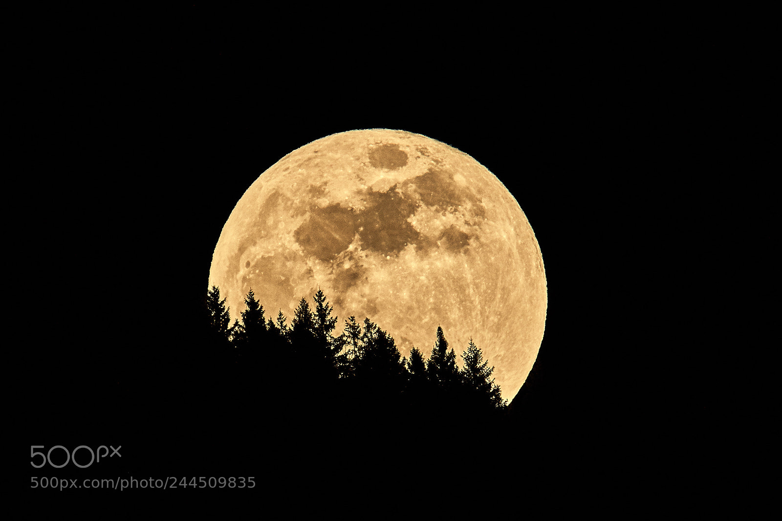 Nikon D500 sample photo. Moon in full photography