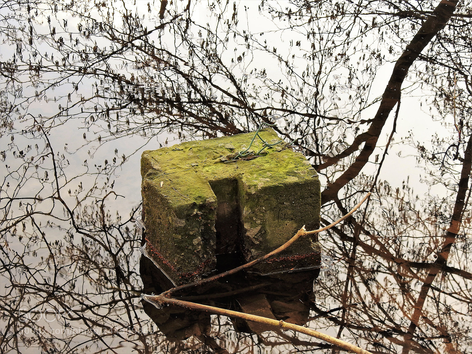 Nikon Coolpix P900 sample photo. Reflections photography