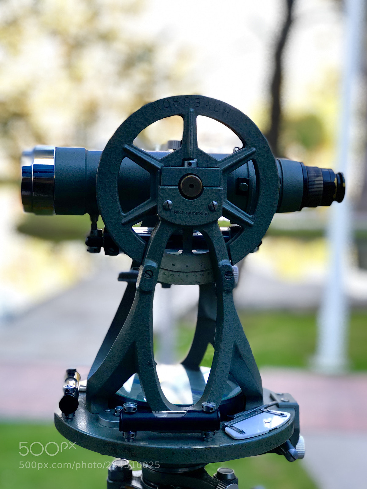 Apple iPhone 8 Plus sample photo. Untitled photography