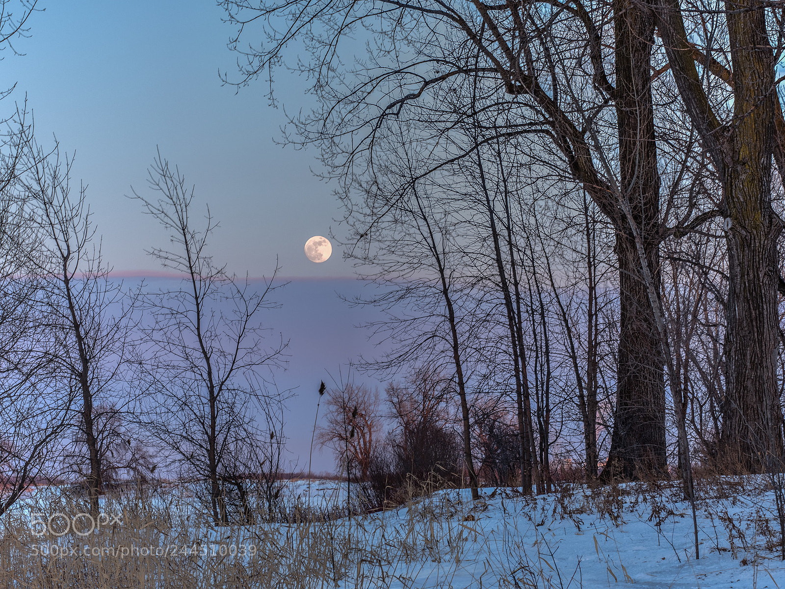 Olympus OM-D E-M5 II sample photo. Blue moon photography