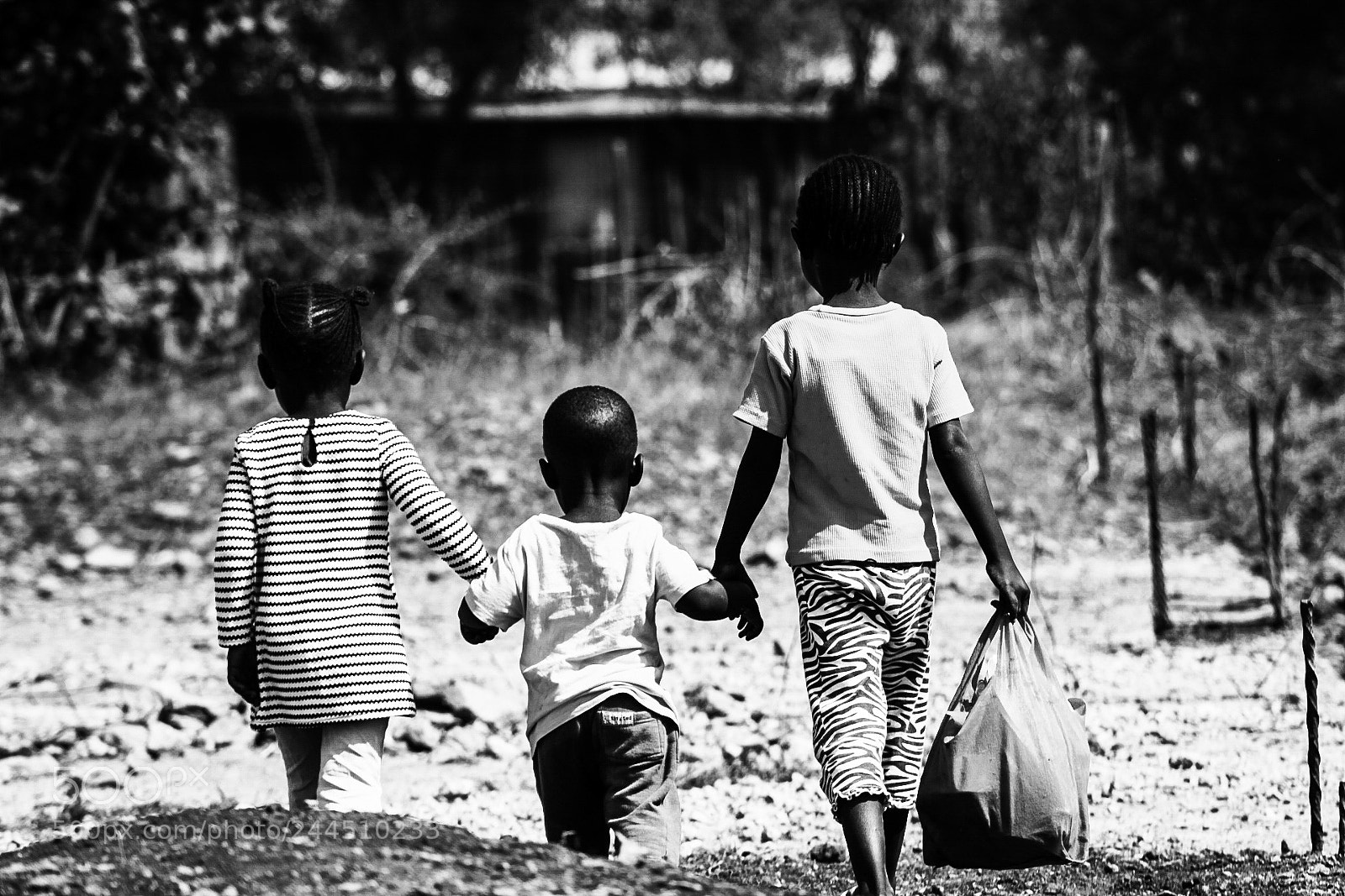 Canon EOS 1300D (EOS Rebel T6 / EOS Kiss X80) sample photo. Friends, nairobi, kenya photography