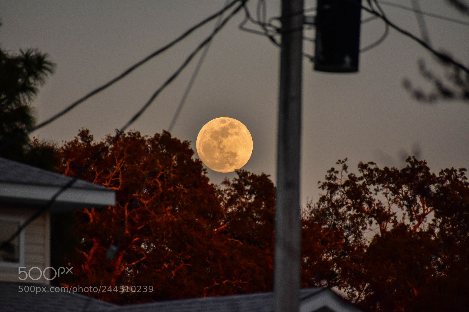 Nikon D3400 sample photo. Untitled photography