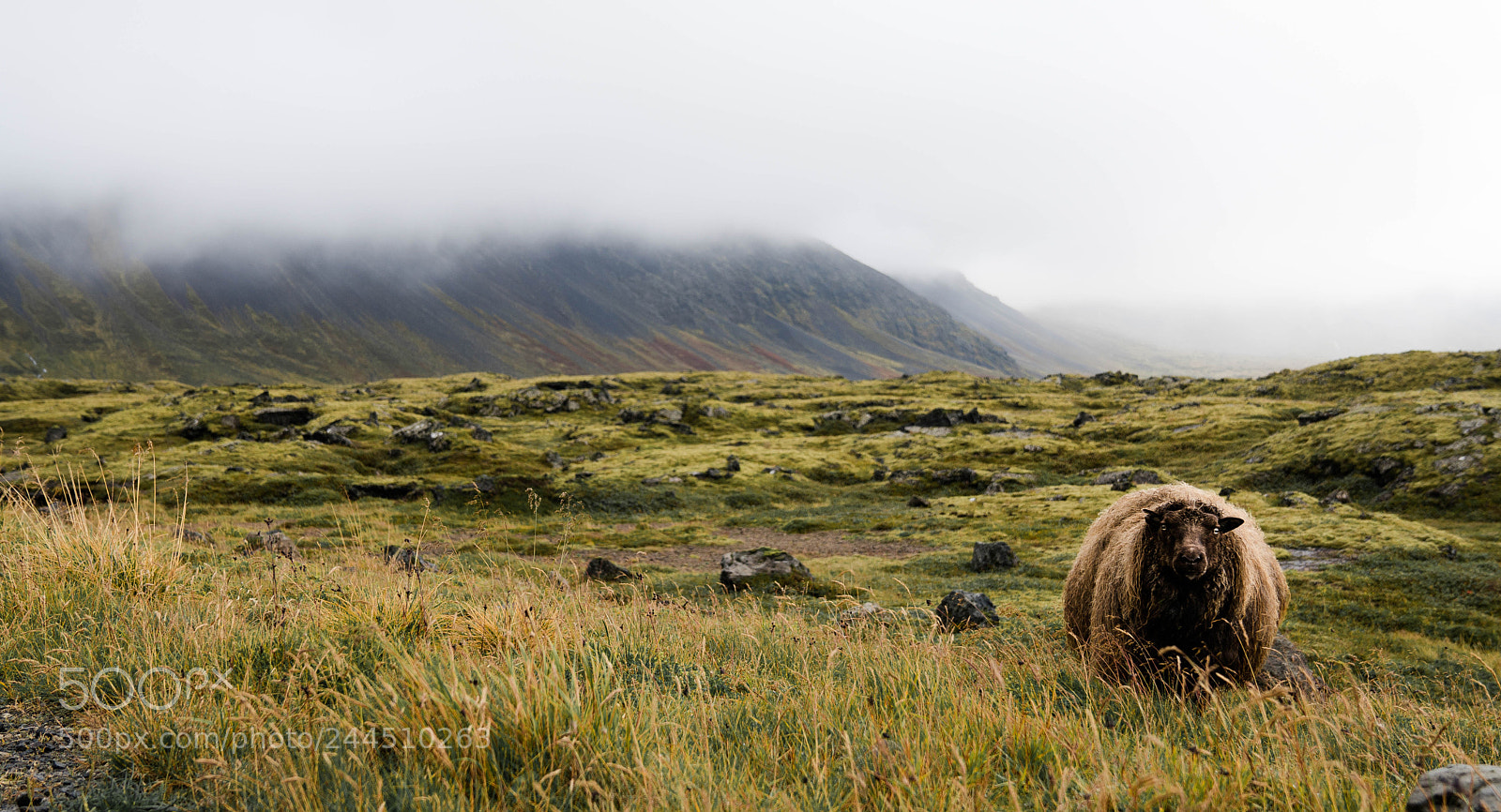 Sony a6500 sample photo. Schaaf iceland photography