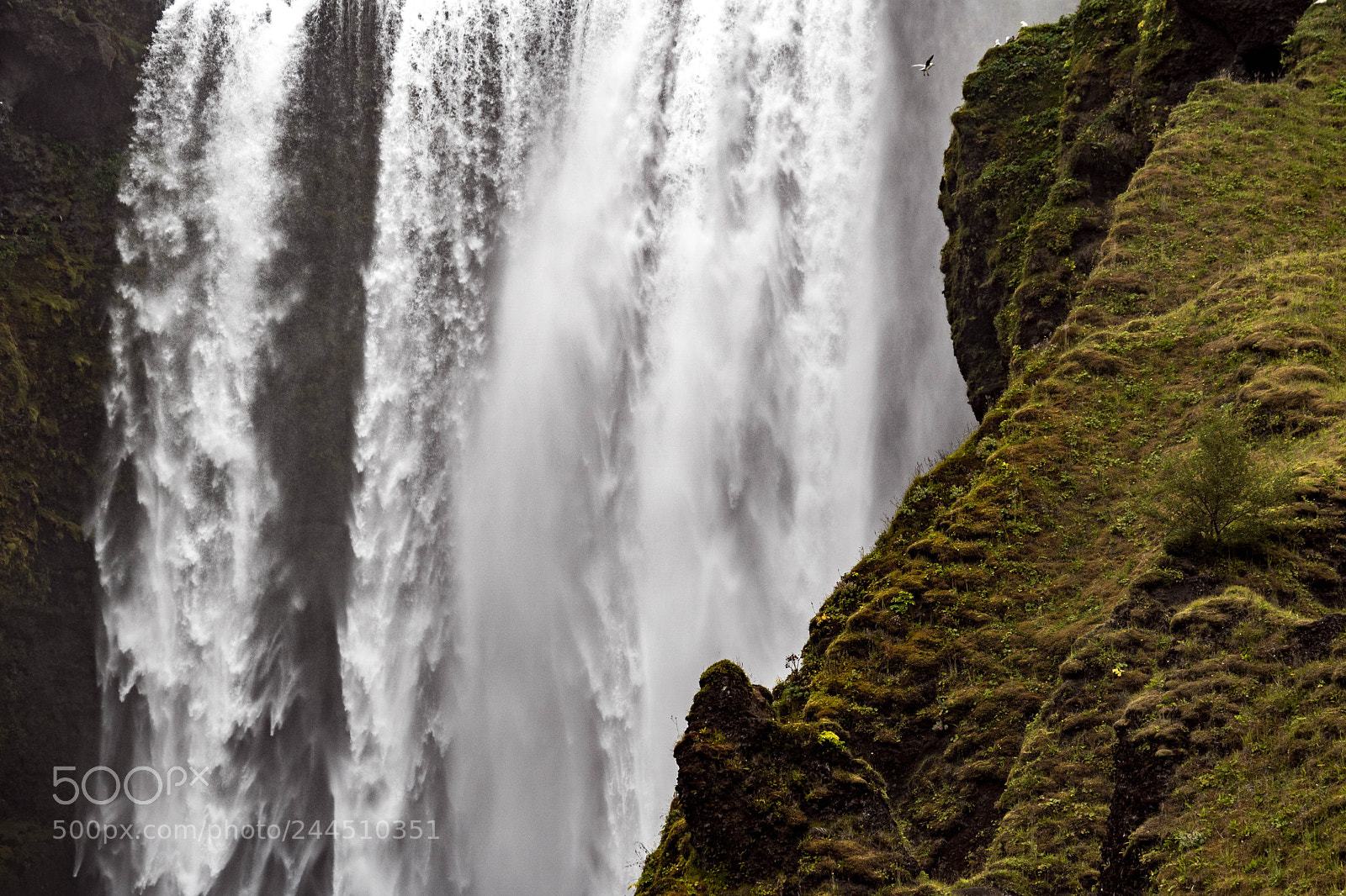 Sony a6500 sample photo. Vogel wasserfall iceland v photography