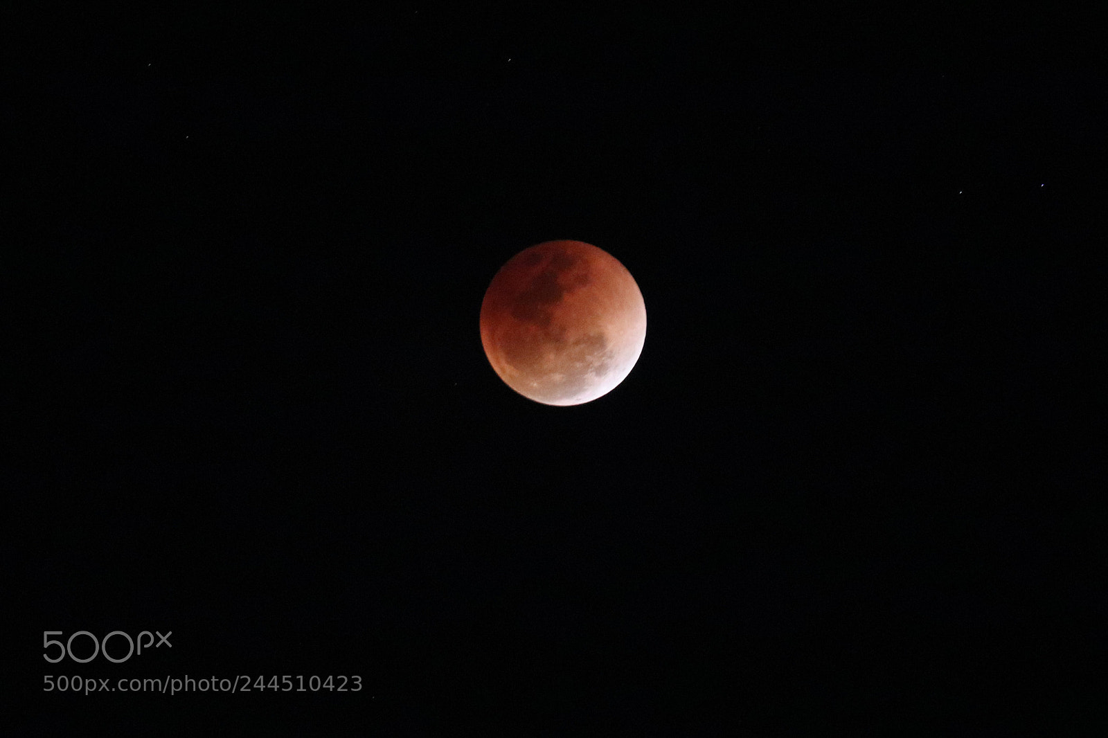 Canon EOS 200D (EOS Rebel SL2 / EOS Kiss X9) sample photo. Red moon from india photography