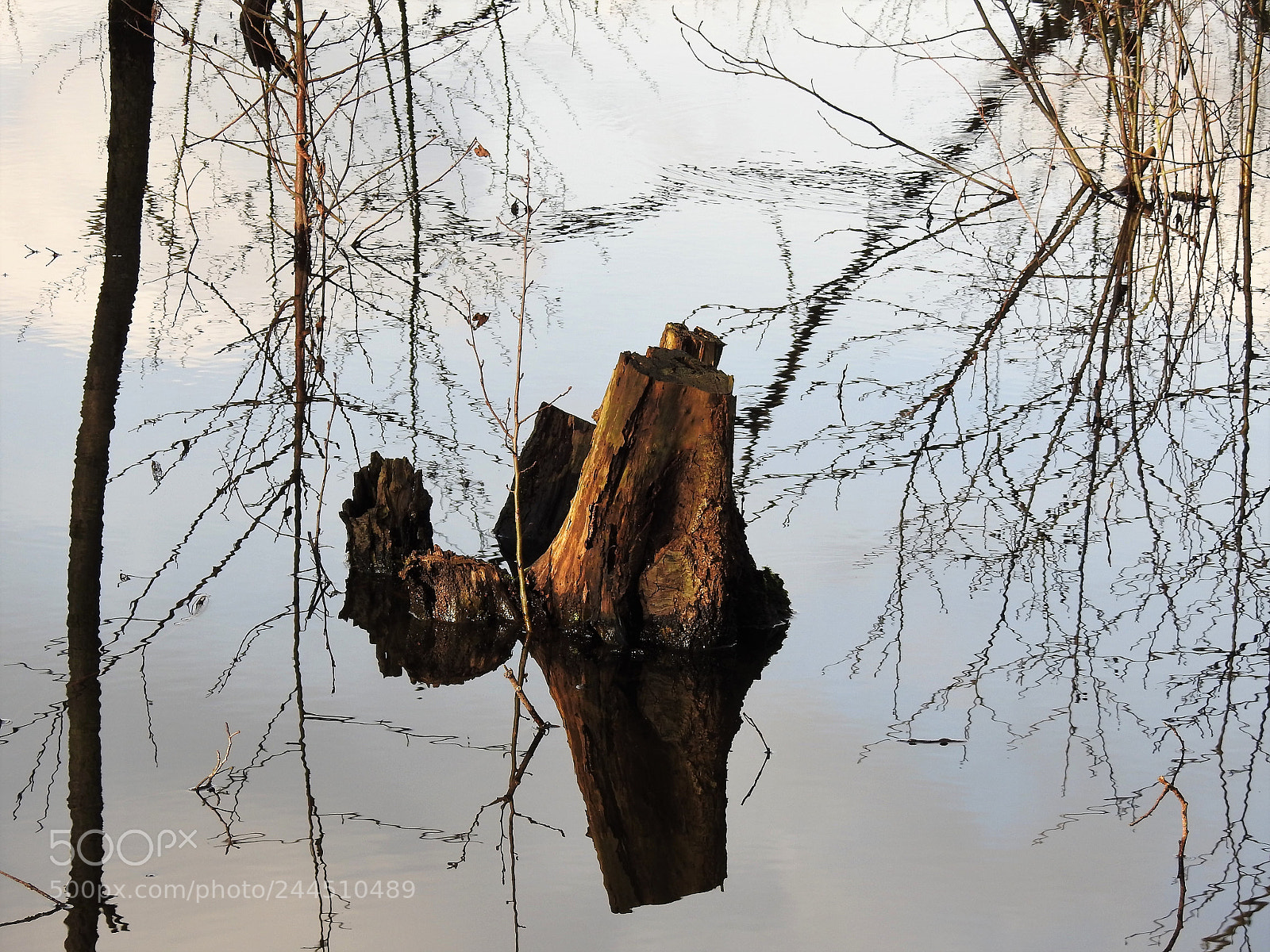 Nikon Coolpix P900 sample photo. Reflections photography
