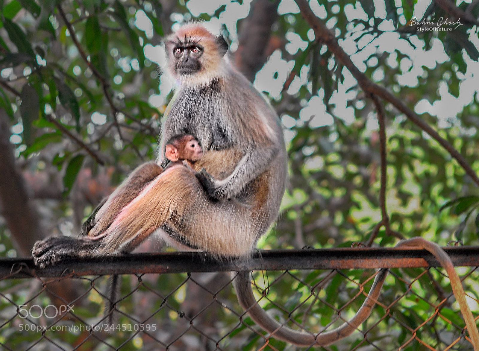Nikon D3000 sample photo. Will protect u photography