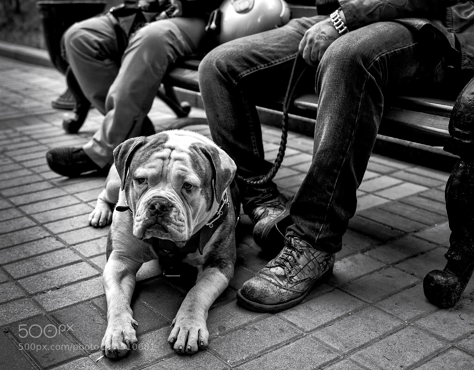 Leica M (Typ 240) sample photo. Chistoprudny boulevard photography
