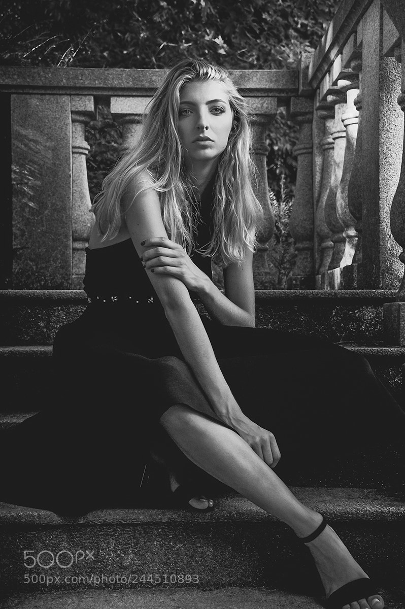 Nikon D700 sample photo. At the castle stairs 02 photography