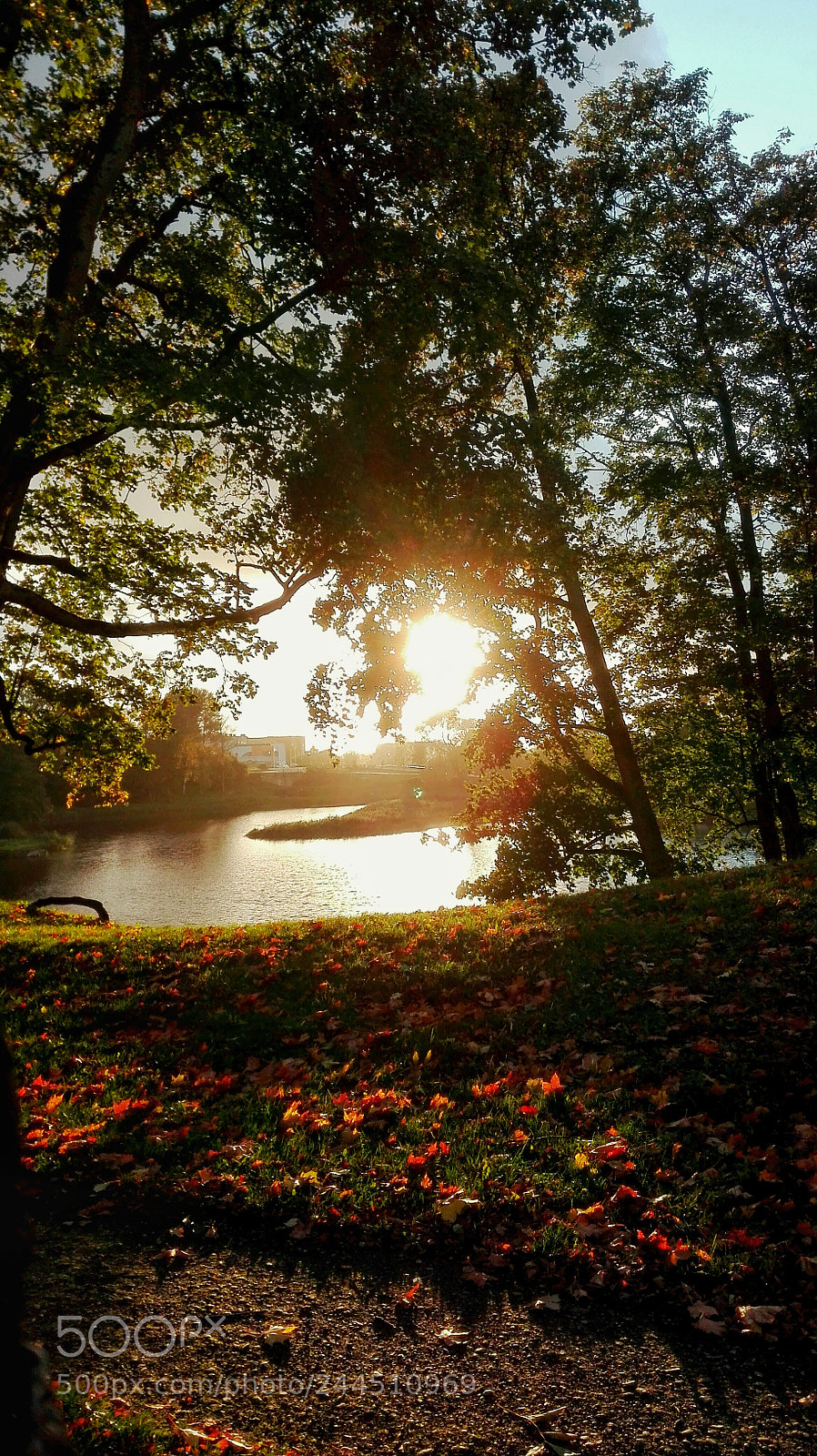 HUAWEI P8 Lite sample photo. Untitled photography