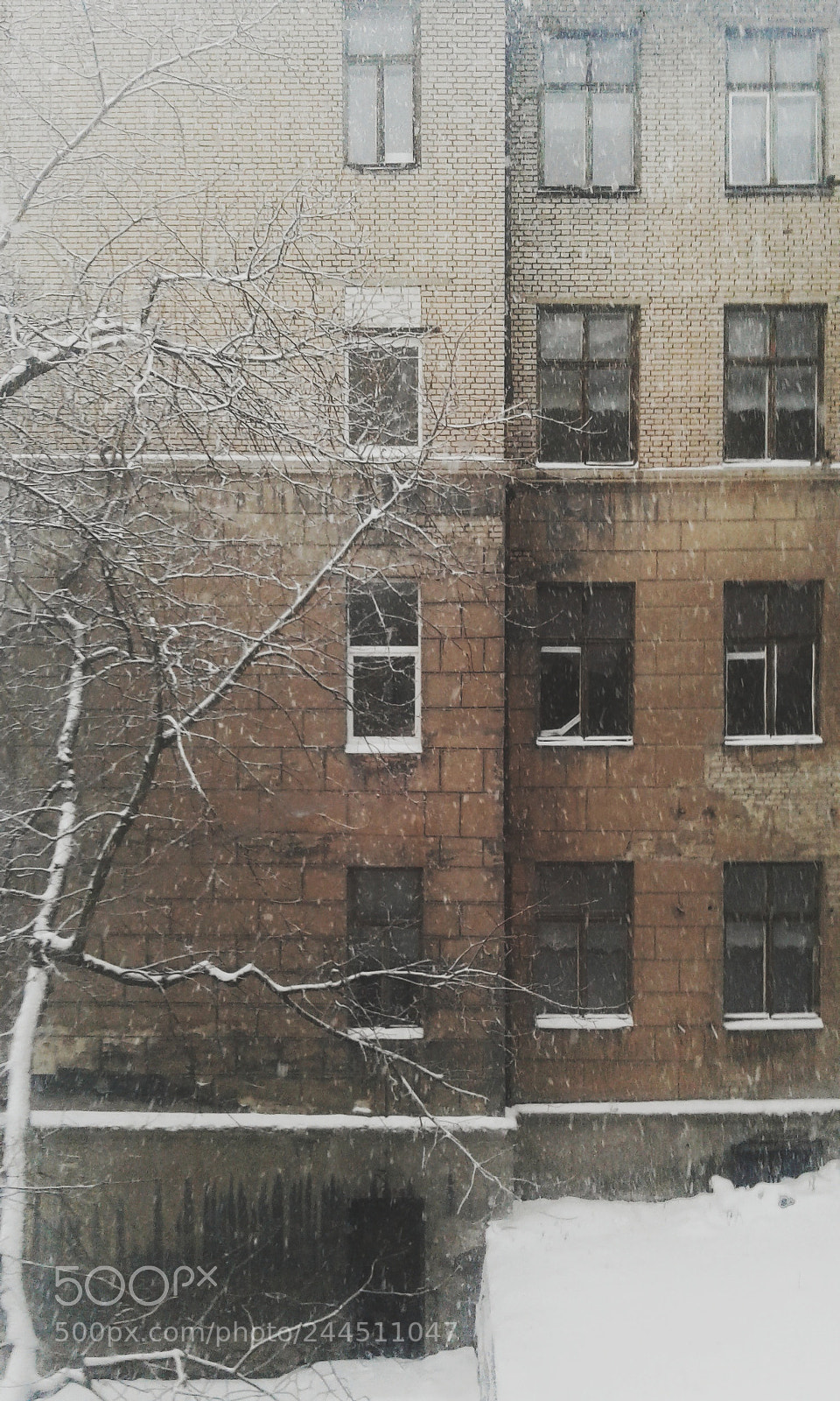 Samsung Galaxy Core Prime sample photo. Untitled photography