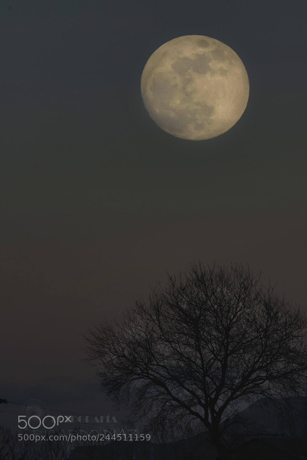 Nikon D7200 sample photo. Halloween night photography