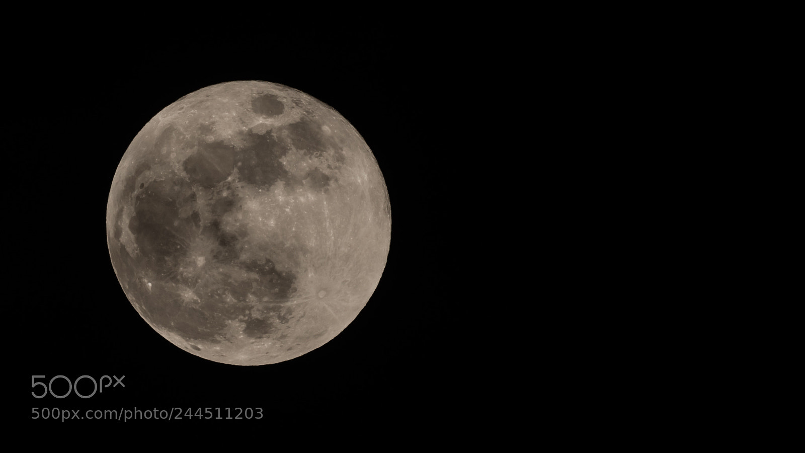 Nikon D810 sample photo. Blue moon photography