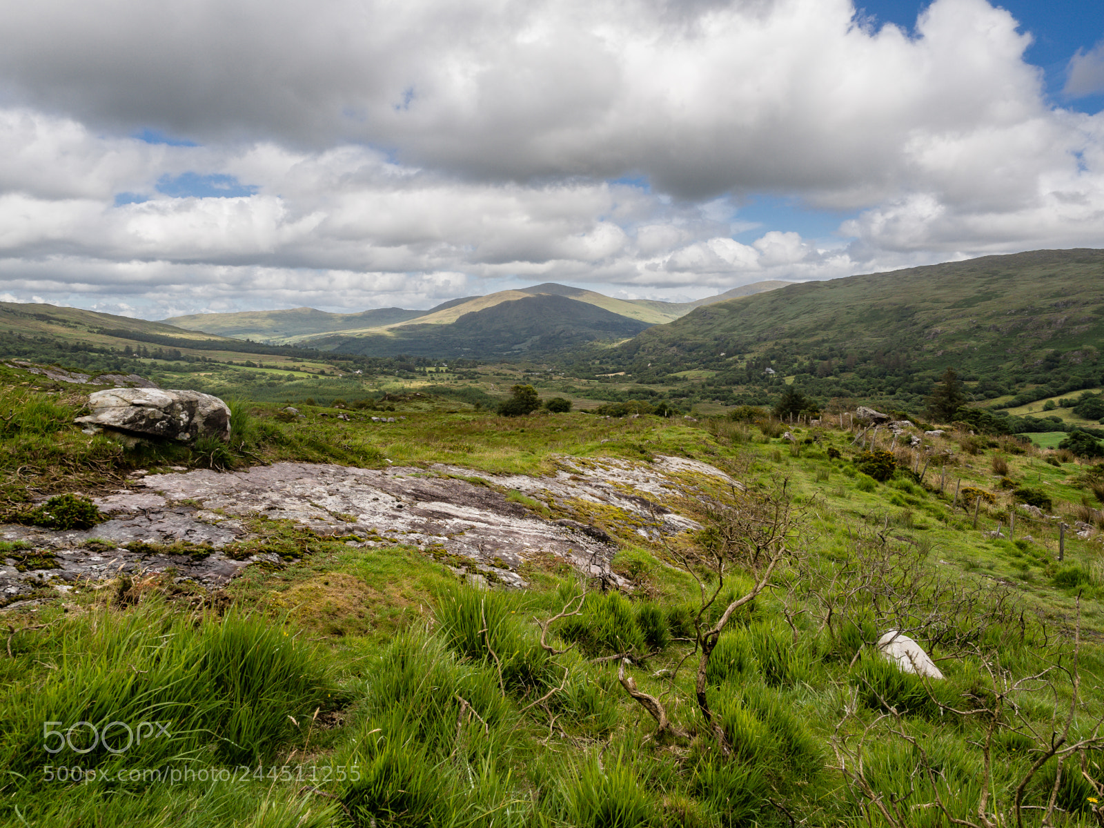 Olympus OM-D E-M10 II sample photo. Beara, ireland photography