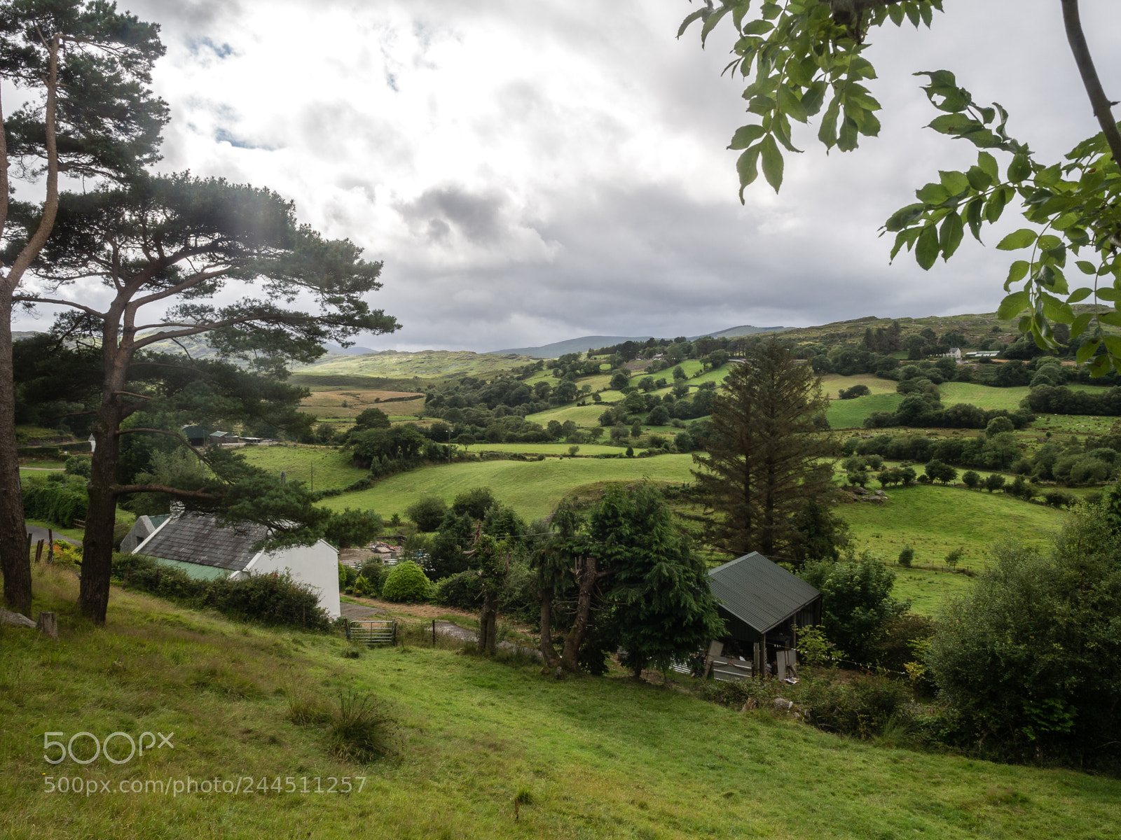 Olympus OM-D E-M10 II sample photo. Beara, ireland photography