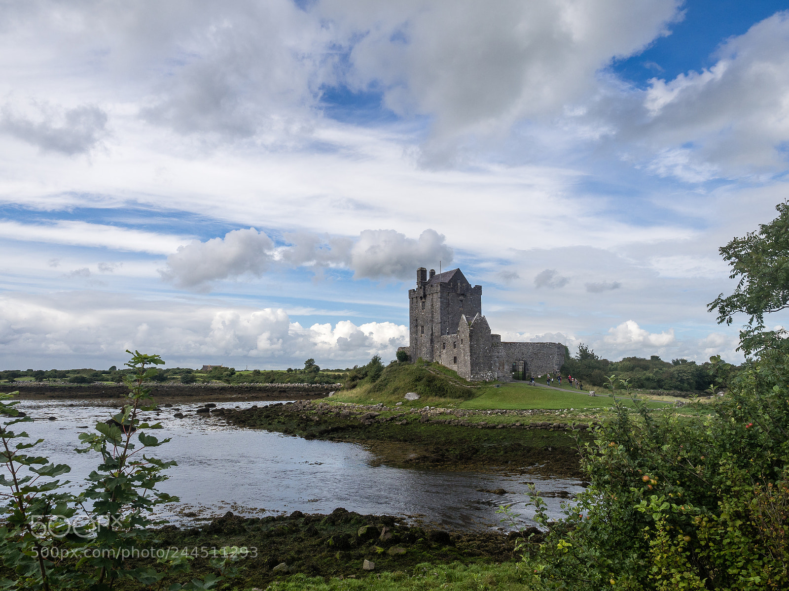 Olympus OM-D E-M10 II sample photo. Castle, ireland photography