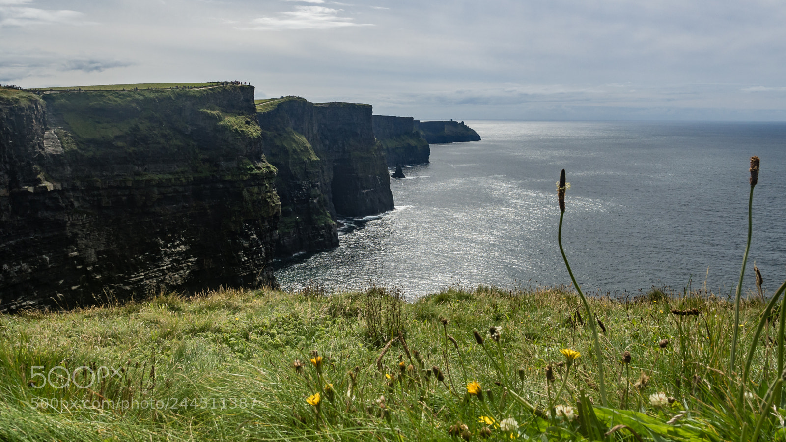 Olympus OM-D E-M10 II sample photo. Cliffs of moher, ireland photography