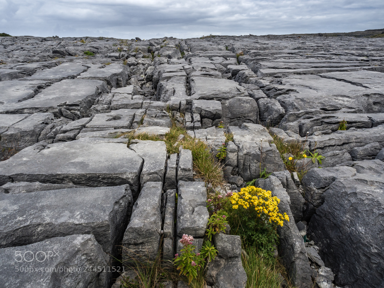 Olympus OM-D E-M10 II sample photo. Burren, ireland photography