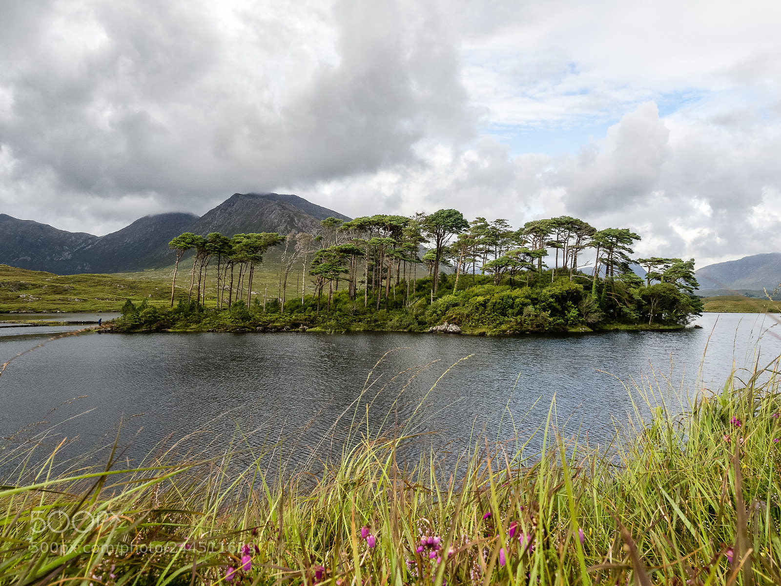 Olympus OM-D E-M10 II sample photo. Twelve pines, ireland photography