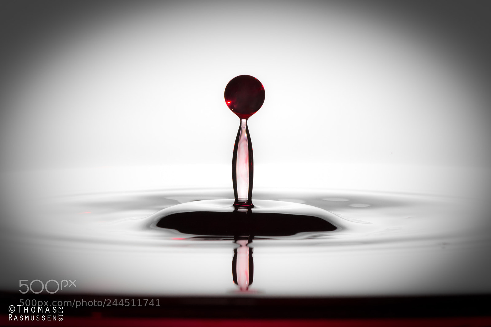 Nikon D7200 sample photo. Red drop photography
