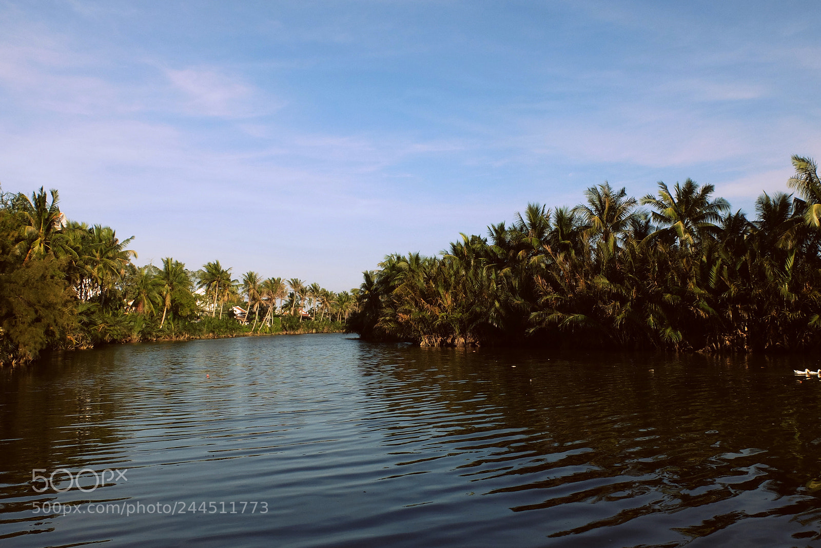Fujifilm X30 sample photo. Palm river photography