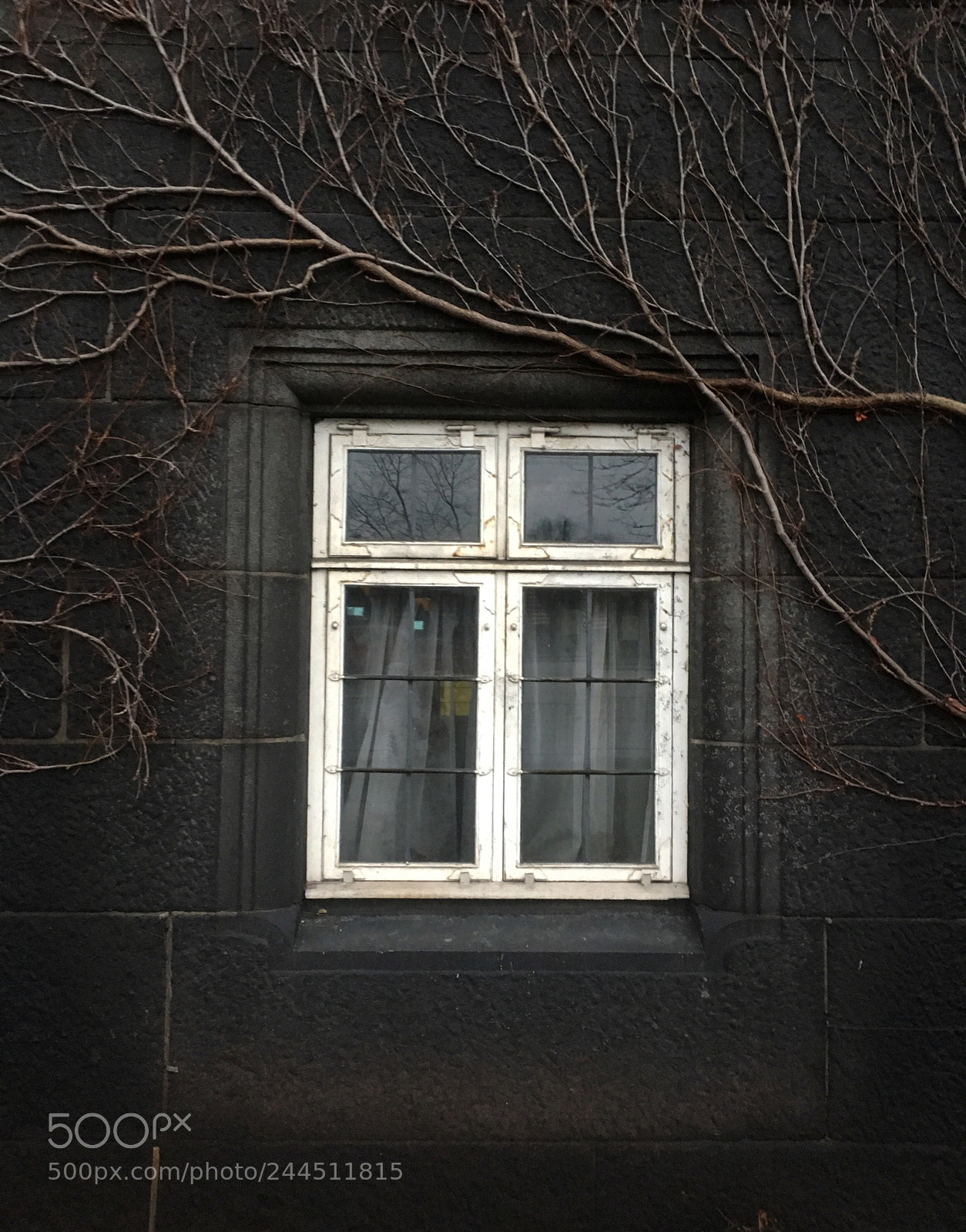 Apple iPhone 6s sample photo. Copenhagen  2018 roman dubrovsky photography