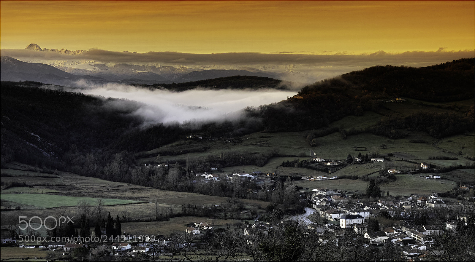 Sigma SD1 Merrill sample photo. Orange morning photography