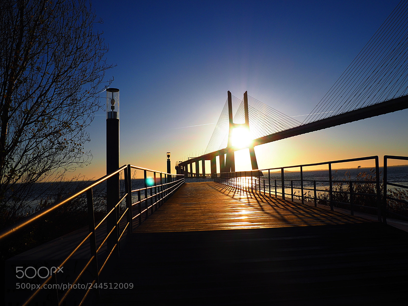 Olympus OM-D E-M10 II sample photo. Vasco da gama bridge photography