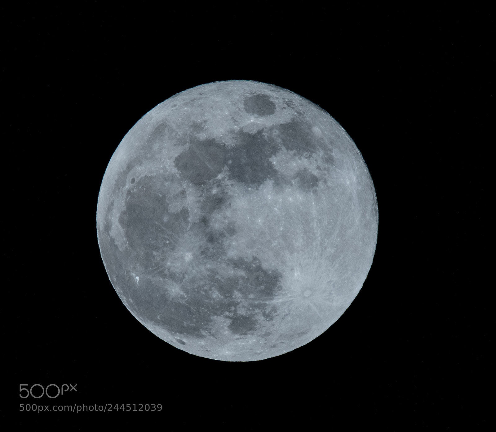 Nikon D500 sample photo. Super blue moon jan photography