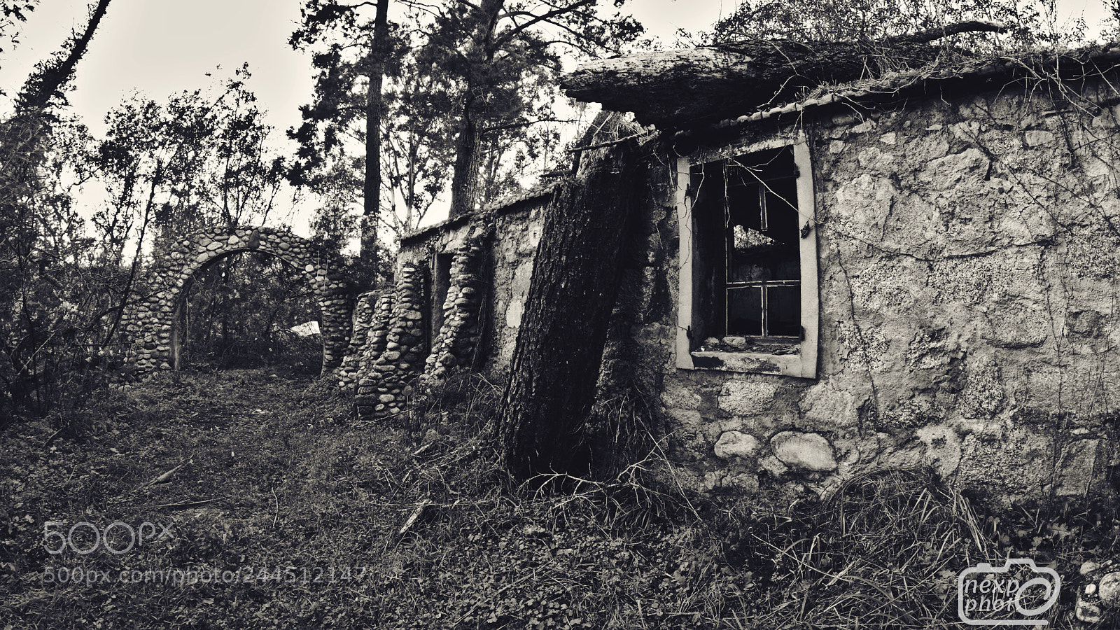 Nikon D7100 sample photo. Abandoned place photography