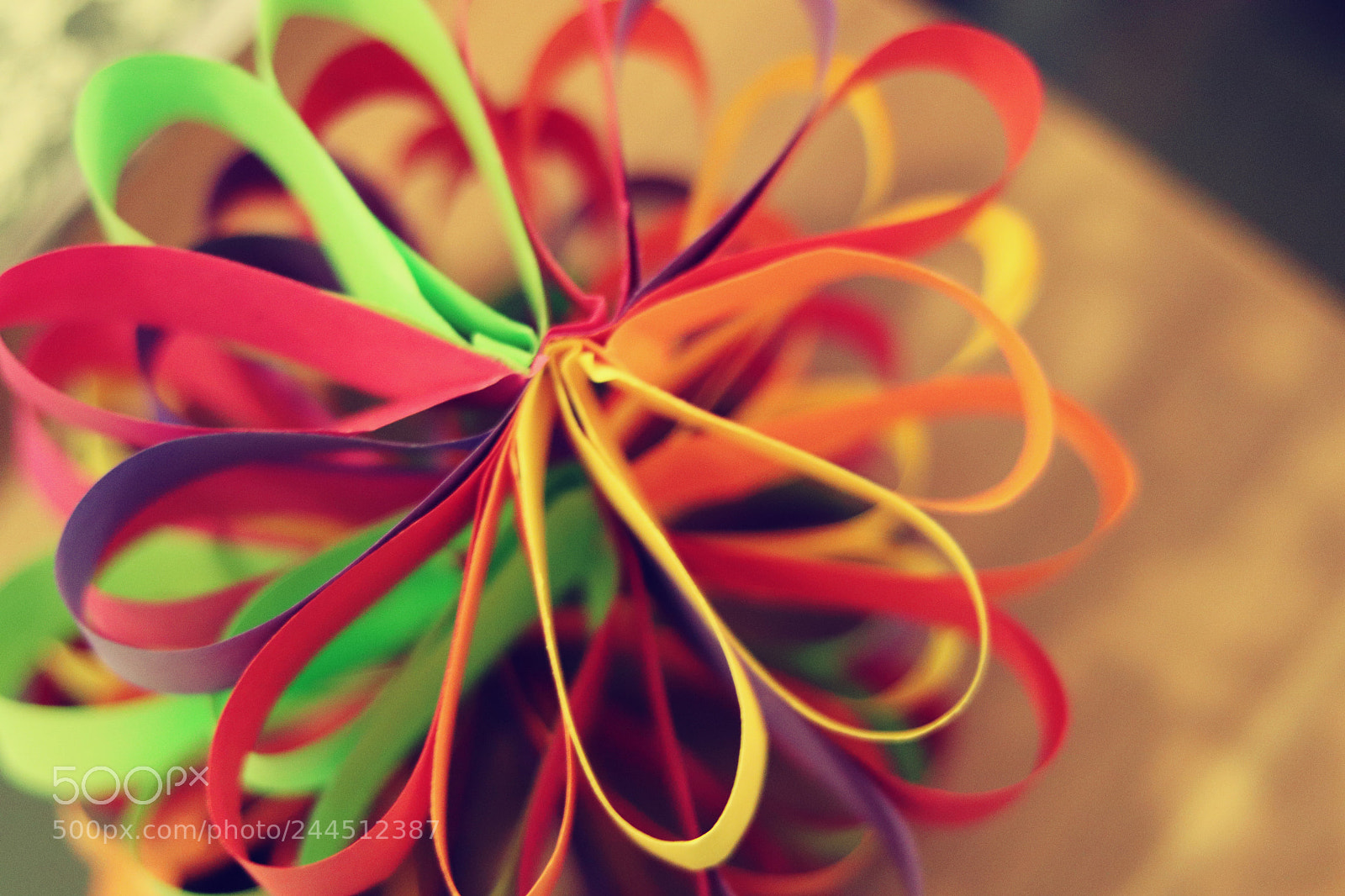 Canon EOS 77D (EOS 9000D / EOS 770D) + Canon EF 50mm F1.8 STM sample photo. Diy photography