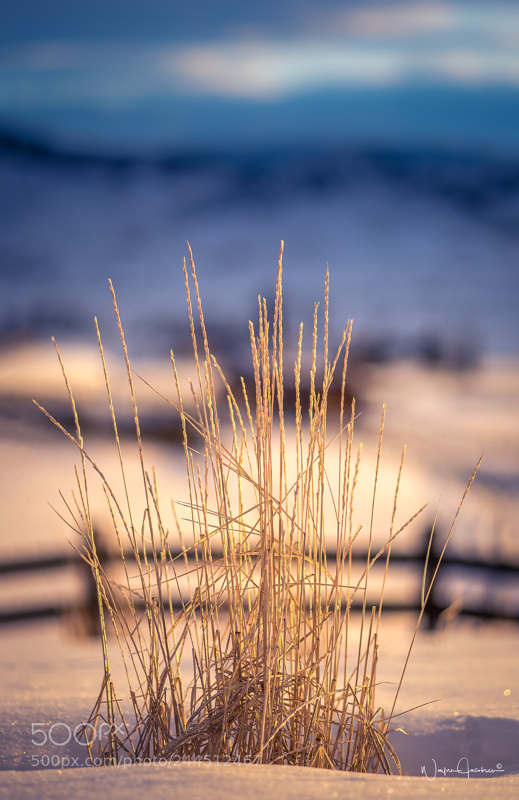 Sony a6500 sample photo. More snow needed! photography