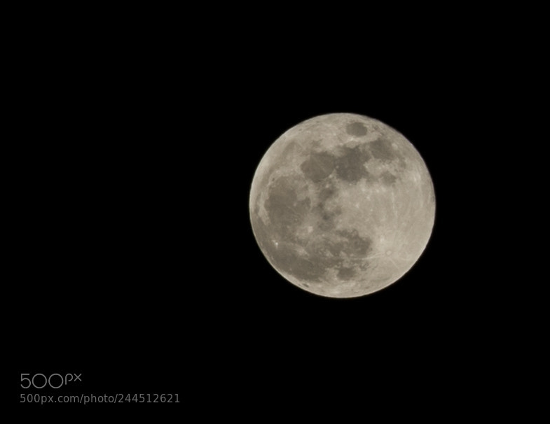 Sony a7 II sample photo. Super blooded moon from photography