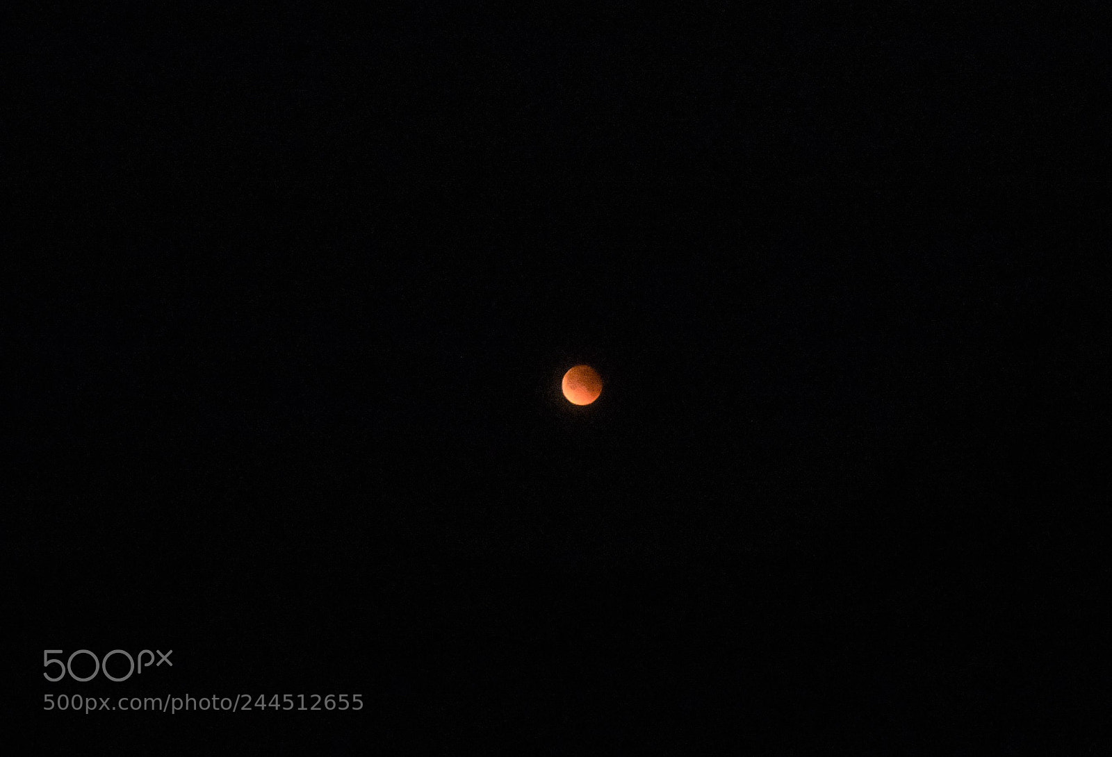 Nikon D7200 sample photo. Total lunar eclipse jan 31, 2018 photography