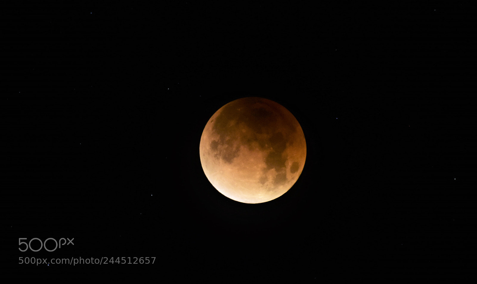 Nikon D7200 sample photo. Total lunar eclipse jan 31, 2018 photography