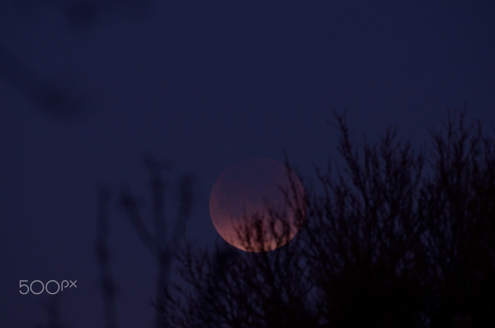 Nikon AF-S Nikkor 200-500mm F5.6E ED VR sample photo. Good bye super blue blood moon photography