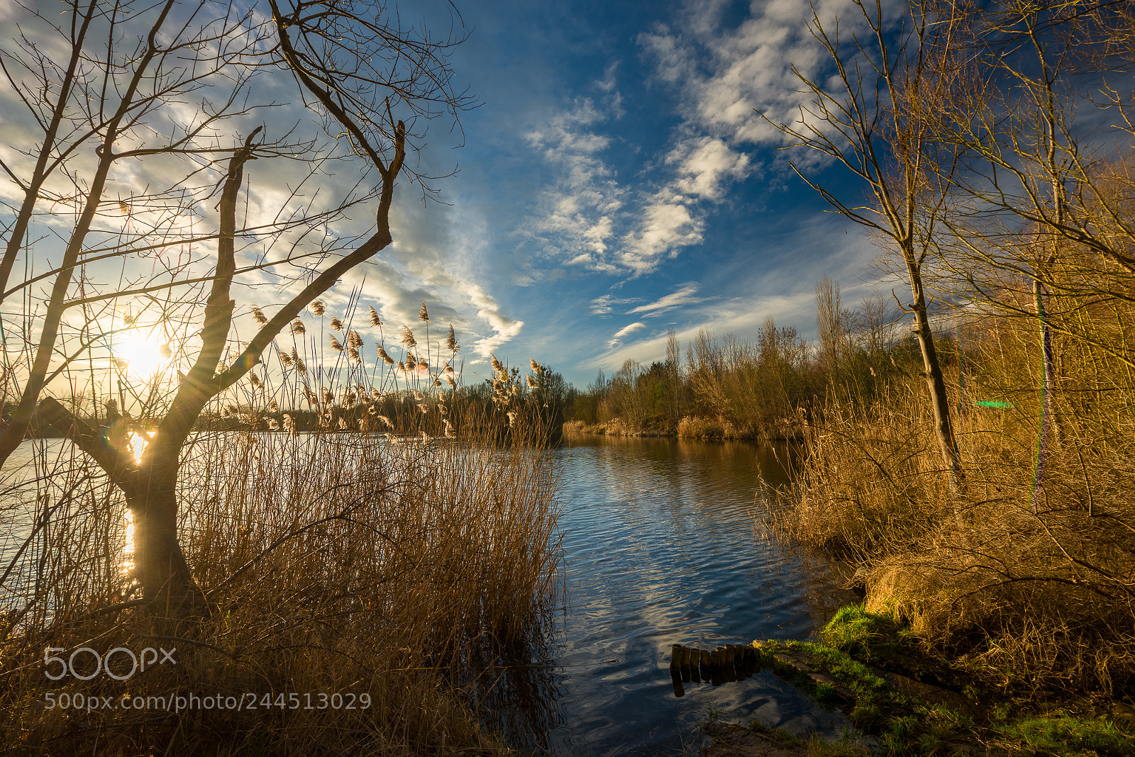Nikon D810 sample photo. Etwas aus der natur photography