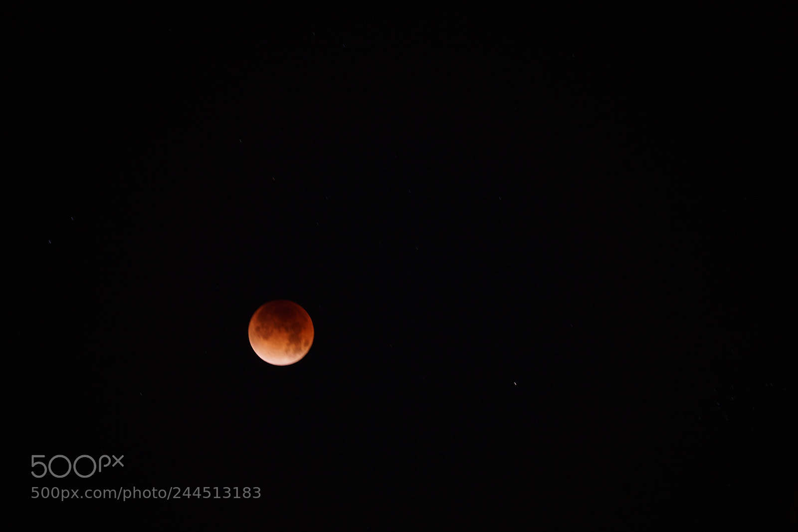 Sony E 55-210mm F4.5-6.3 OSS sample photo. Super blue blood moon photography