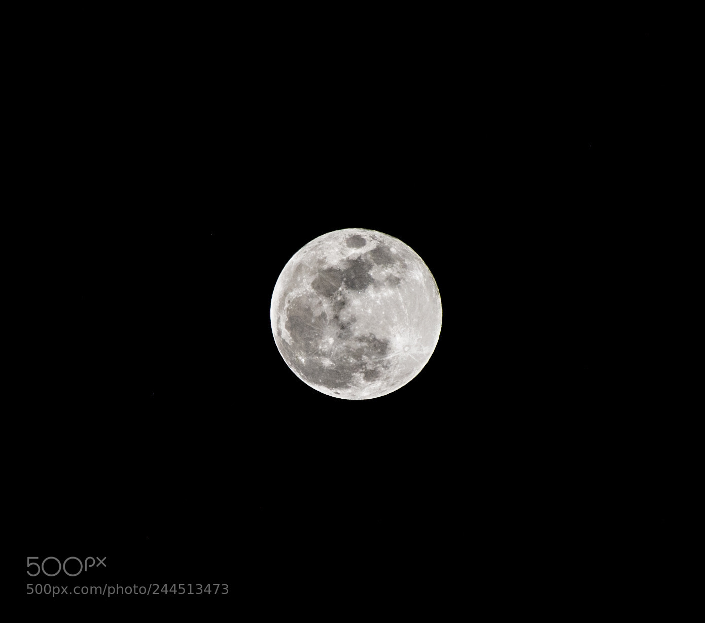 Nikon D7200 sample photo. Super blue blood moon photography