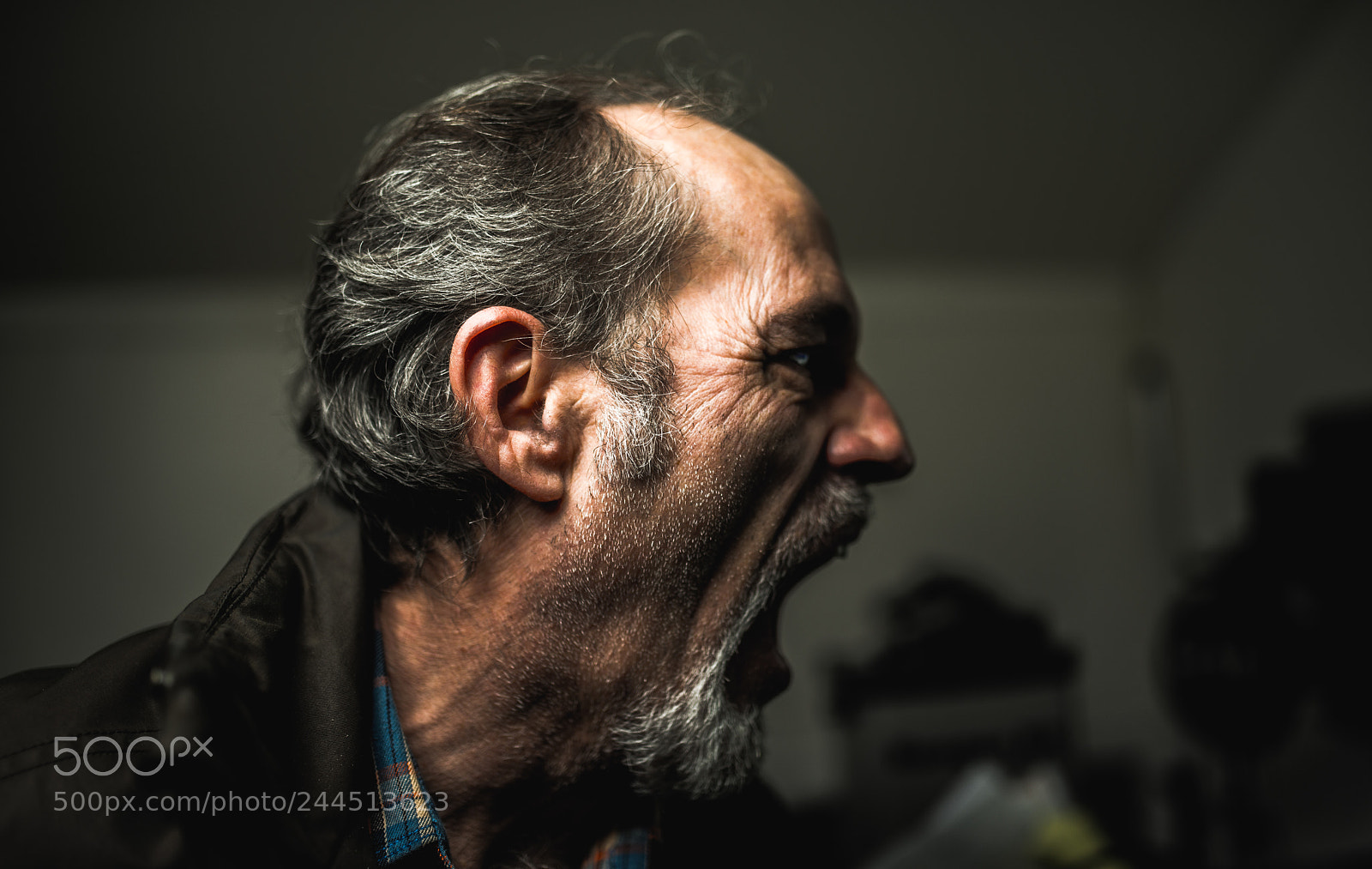 Nikon D800 sample photo. Couleur photography
