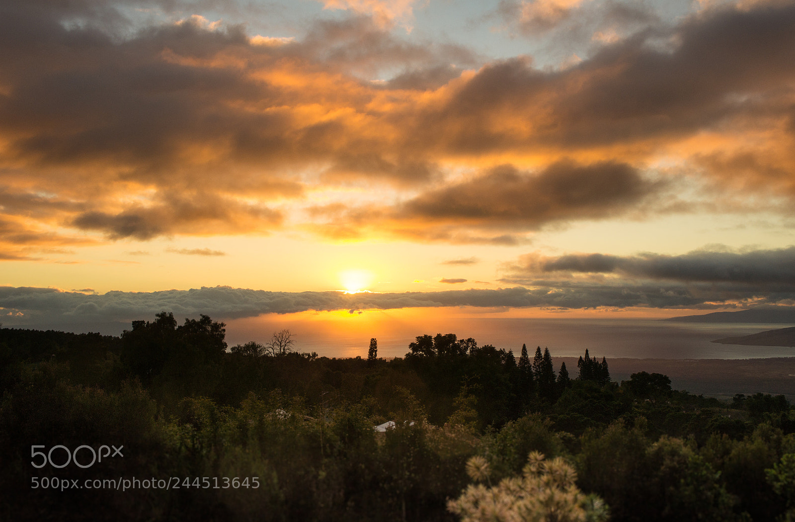 Sony Alpha NEX-5 sample photo. Maui sunset photography