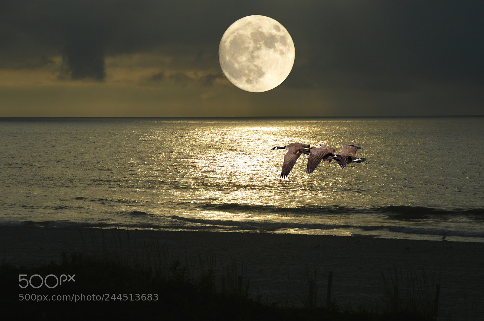 Nikon D3200 sample photo. Super moon on the photography