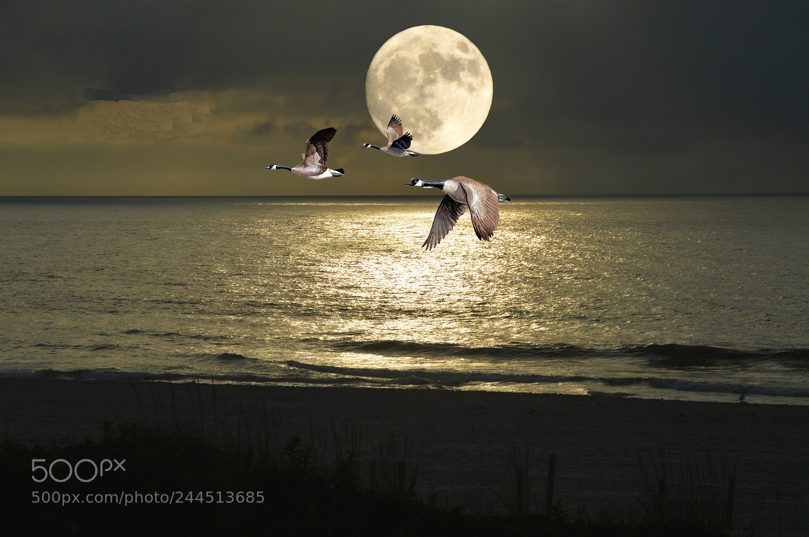 Nikon D3200 sample photo. Super moon on the photography