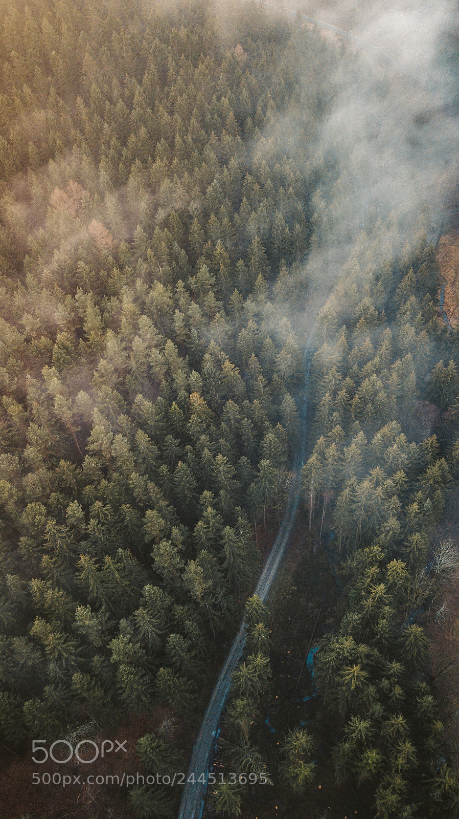 DJI FC220 sample photo. Above the forest. photography