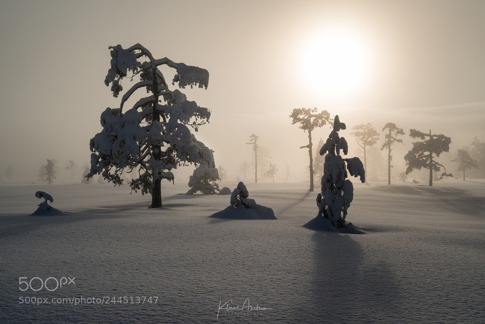 Sony a7R II sample photo. Misty mystery photography