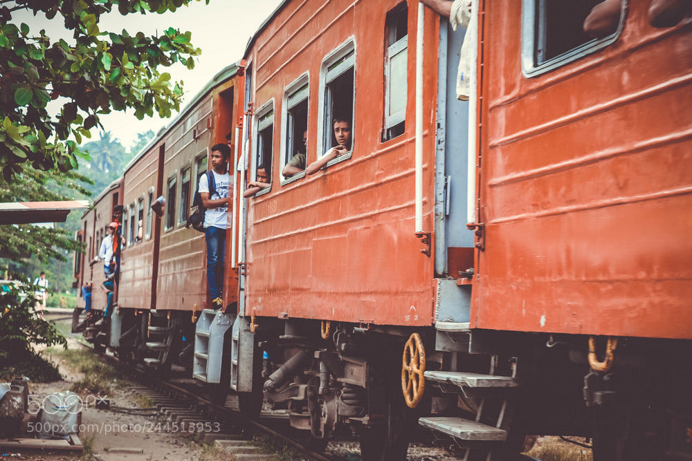 Canon EOS 7D Mark II sample photo. Sri lanka photography