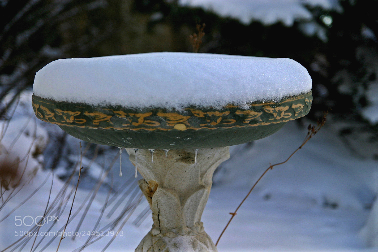 Canon EOS 10D sample photo. Snow covered bird bath photography