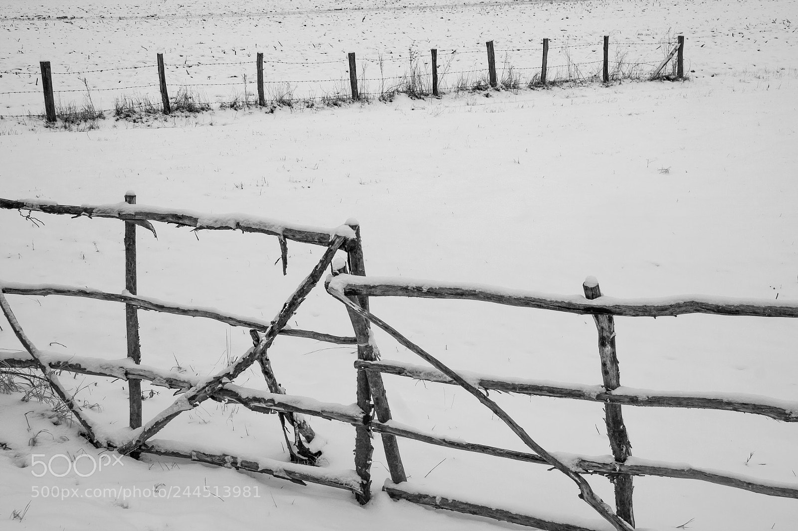 Canon EOS 40D sample photo. Fence photography